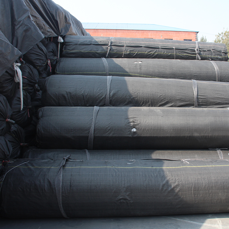Hdpe /ldpe /lldpe Geomembrane/pond Liner Hdpe Geomembranas Hdpe Smooth Fish Farm