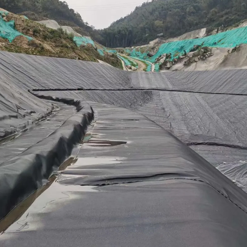 Discount price 1Mm 2Mm Hdpe Pvc Ldpe Geomembrane For pond liner dam lining