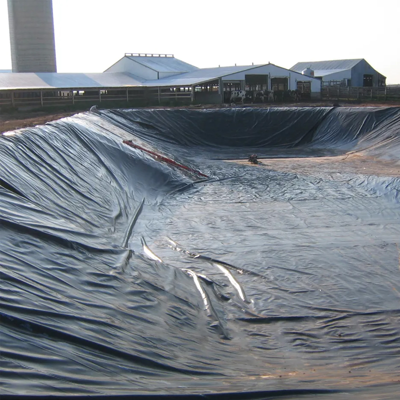 HDPE LDPE  PVC Waterproof Geomembrane for Fish Farm hdpe pond liner