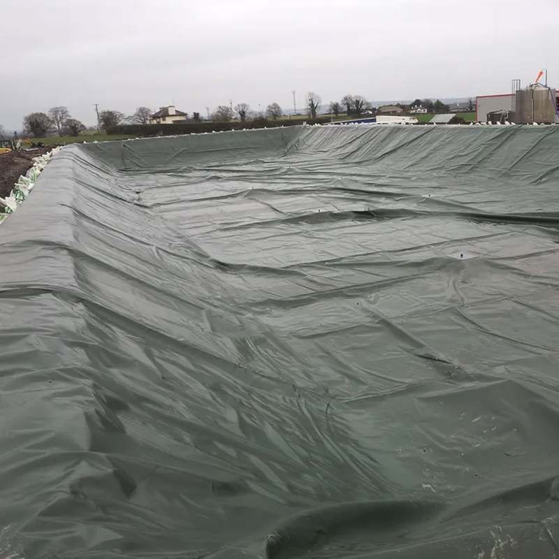 HDPE LDPE  PVC Waterproof Geomembrane for Fish Farm hdpe pond liner