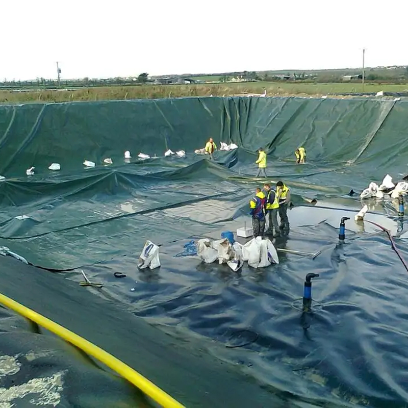 HDPE LDPE  PVC Waterproof Geomembrane for Fish Farm hdpe pond liner