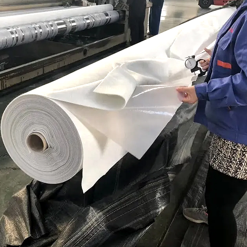 HDPE Composite Geomembrane Ponds Farm Tank Geomembrane Sheet Geomembrane