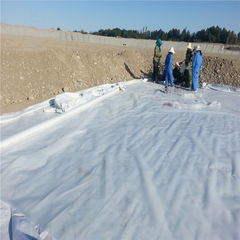 HDPE Composite Geomembrane Ponds Farm Tank Geomembrane Sheet Geomembrane