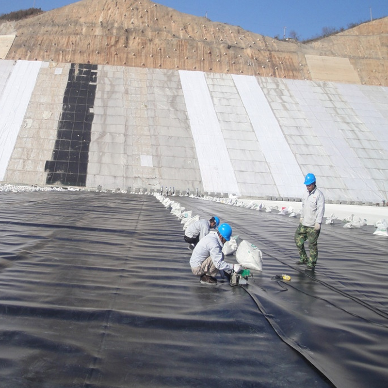 Factory price Composite geomembrane liner high quality geotextile and geomembrane