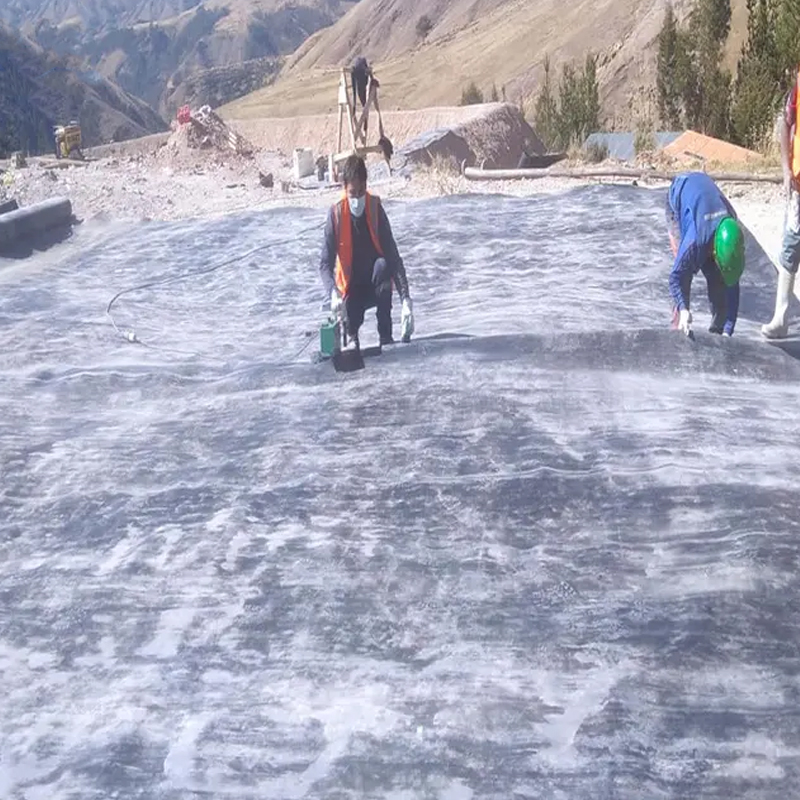 Factory price Composite geomembrane liner high quality geotextile and geomembrane