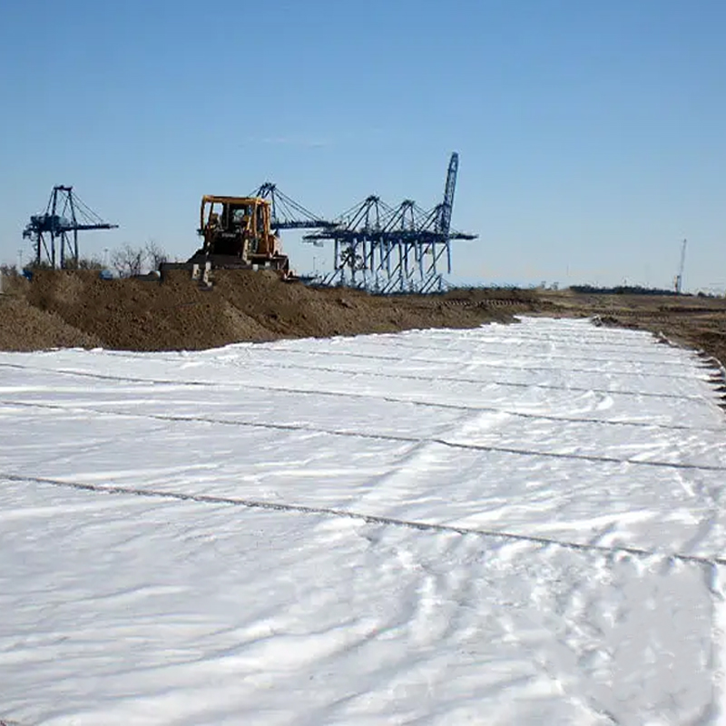 Chinese Factory Price Pvc Composite Geomenbrana Geomembrane