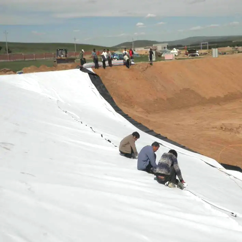 Factory Direct Price Bituminous Composite Geomembrane for landfill and reservoir anti-seepage