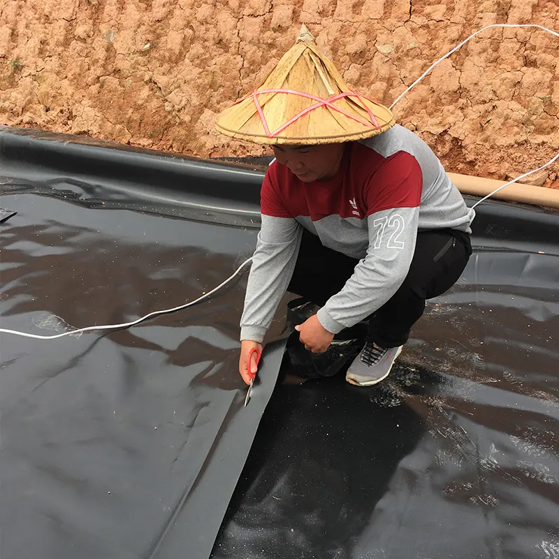 Discount price hdpe pvc liner tunnel geomembrane plastic pond liner