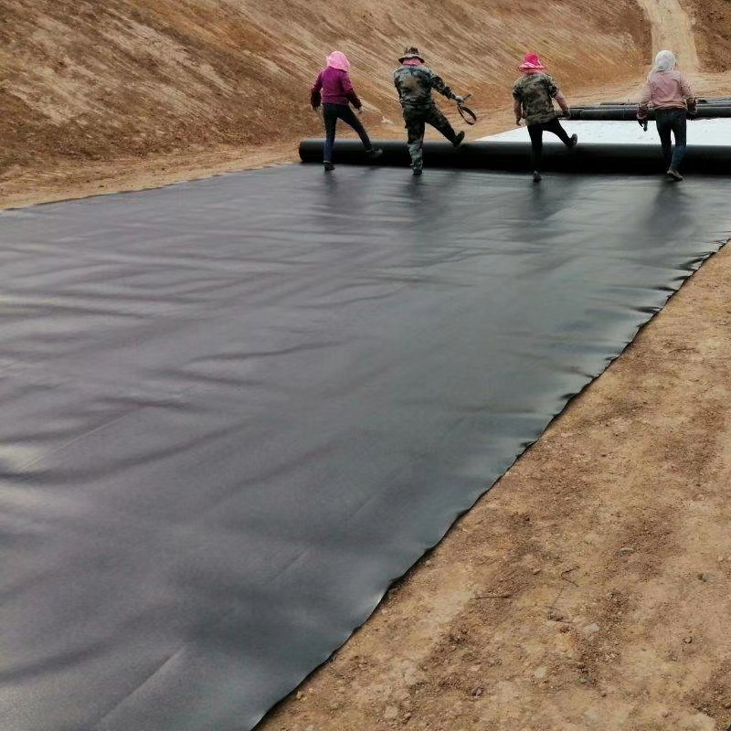 Waterproofing Geomembrane for Landfill fish farming tank