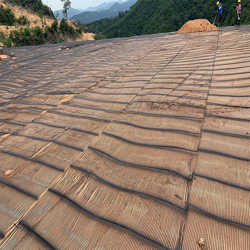 Factory Price 15KN-200KN Plastic Road Geo Grid PP Biaxial Geogrid Uniaxial Geogrid