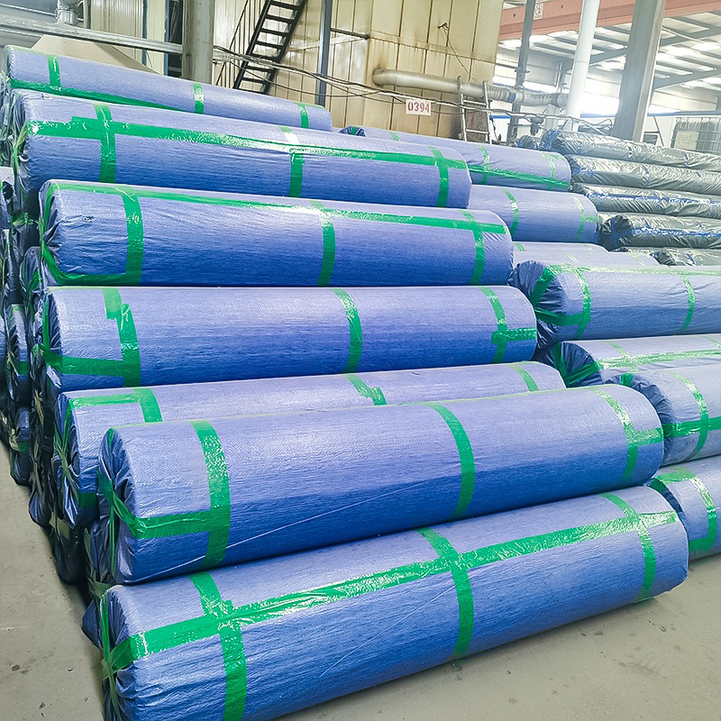 polypropylene biaxial geogrid geogrid tube fiberglass geogrids