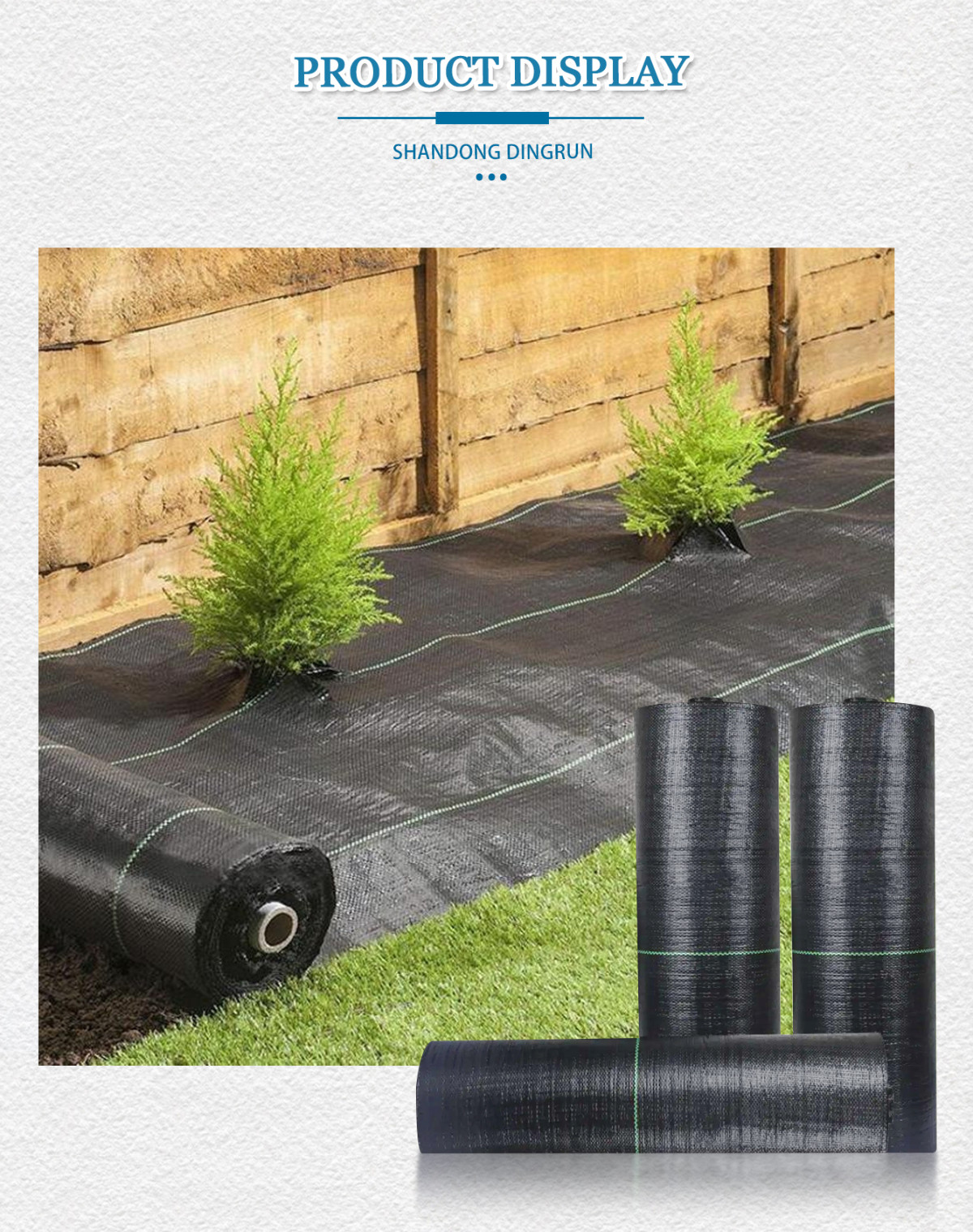 防草网详情页_01.jpg