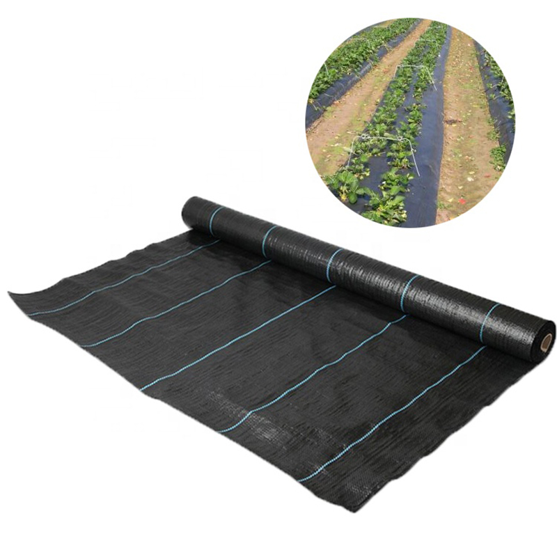 Anti-weed net UV protection for orchards
