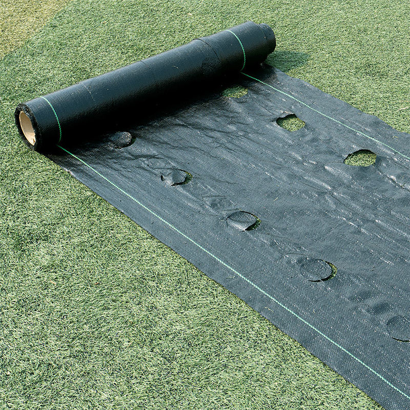 Black Green Agriculture Nets Plastic Ground Cover Weed Barrier Weed Control Mat