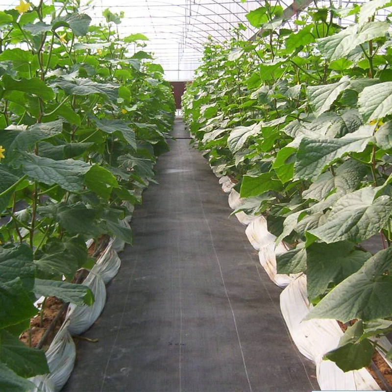 Black Green Agriculture Nets Plastic Ground Cover Weed Barrier Weed Control Mat