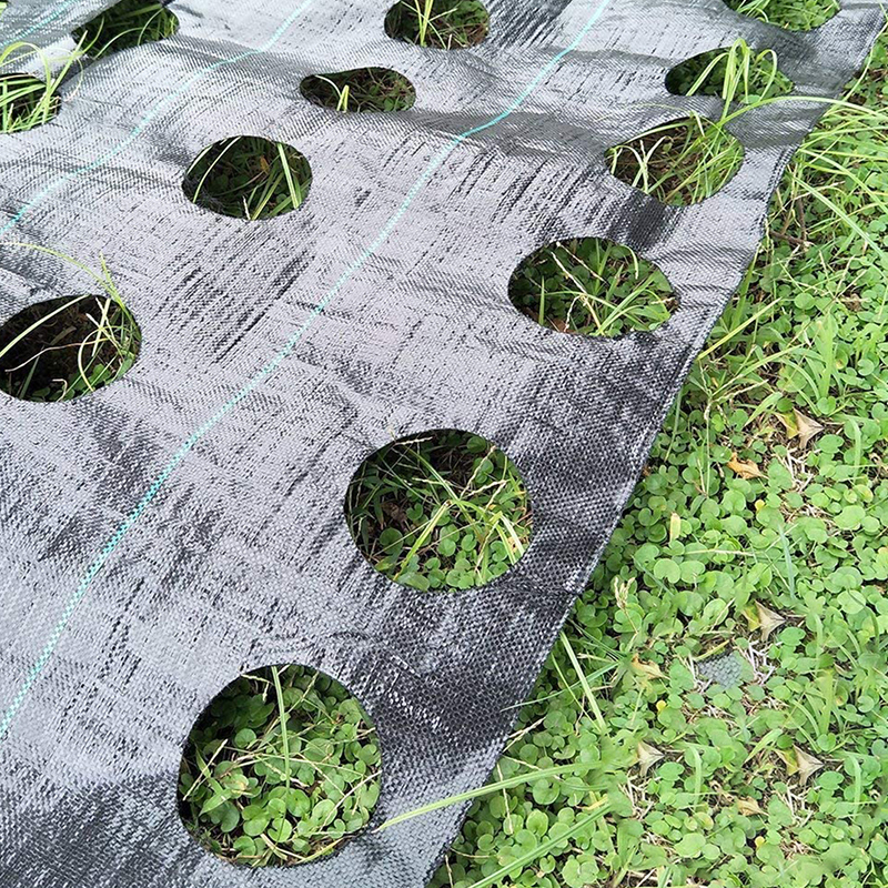 PP material black plastic film weeding film grass prevention net