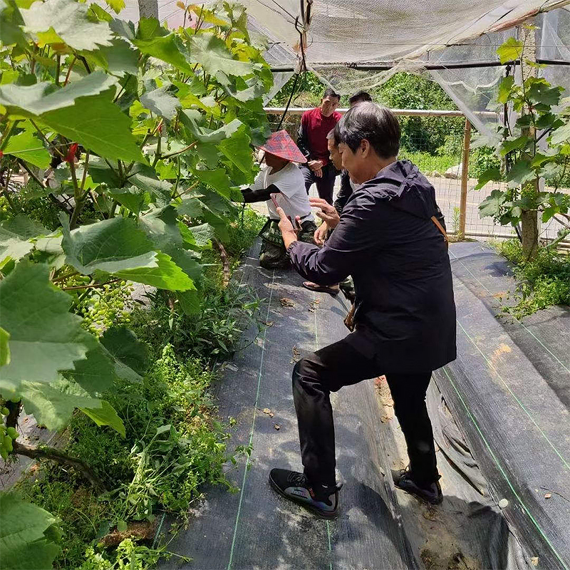 PP material black plastic film weeding film grass prevention net