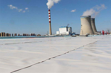 What are the different characteristics of waterproof boards?