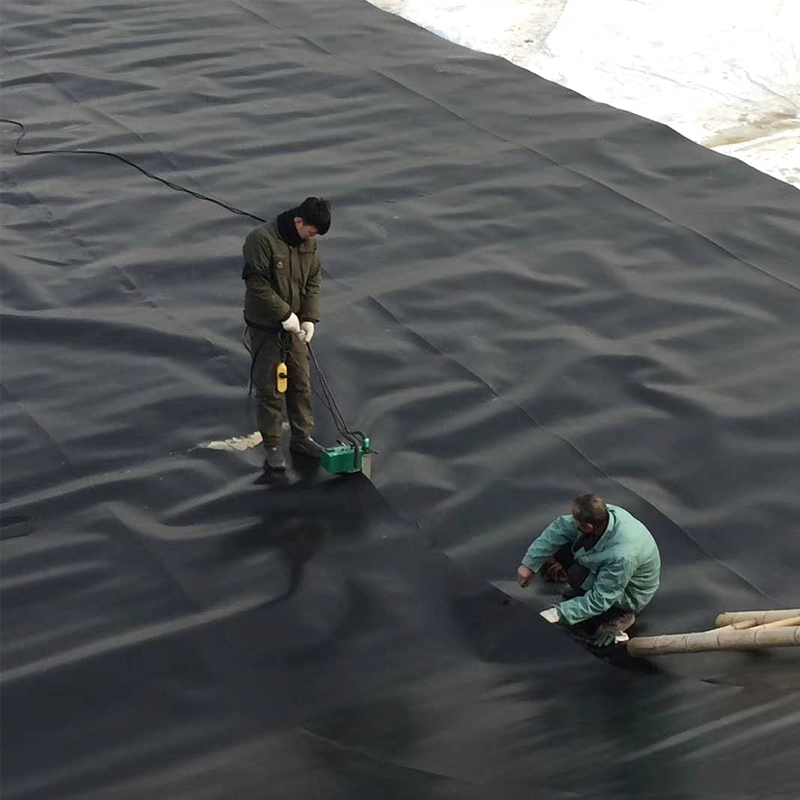 HDPE LDPE LLDPE pond liner waterproof geomembrane sheet