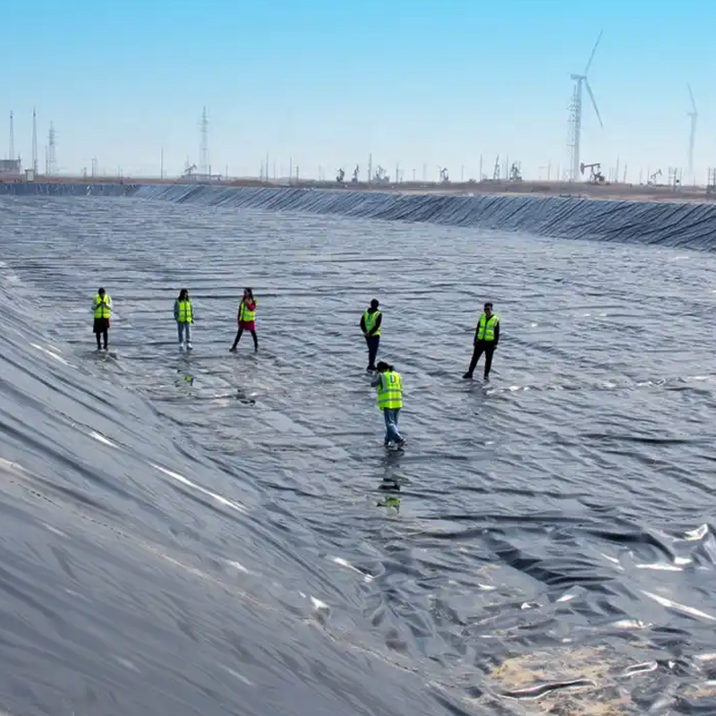 Dam Liner Waterproof Fish pond liner hdpe PVC Geomembrane 1.5mm Thick