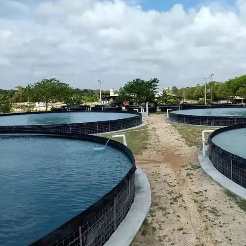 Dam Liner Waterproof Fish pond liner hdpe PVC Geomembrane 1.5mm Thick