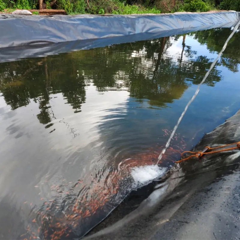 HDPE LDPE 1mm to 2mm Dam Fish Farm hdpe pond liner