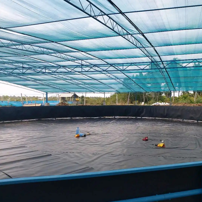 HDPE LDPE 1mm to 2mm Dam Fish Farm hdpe pond liner