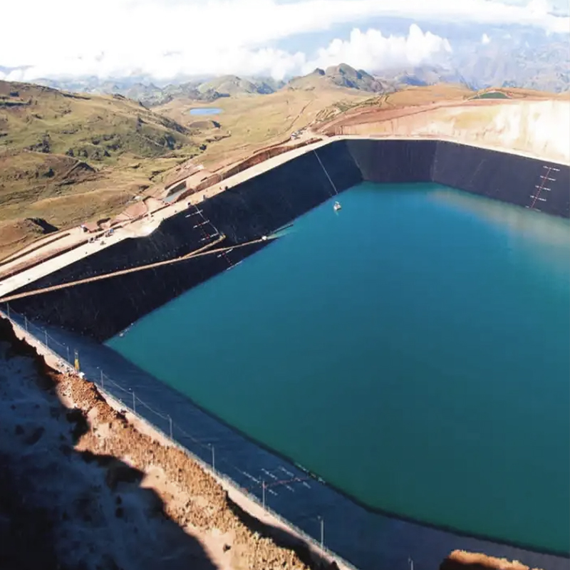 China geomembrane suppliers pond liner for wastewater treatment hpde pe geomembrane