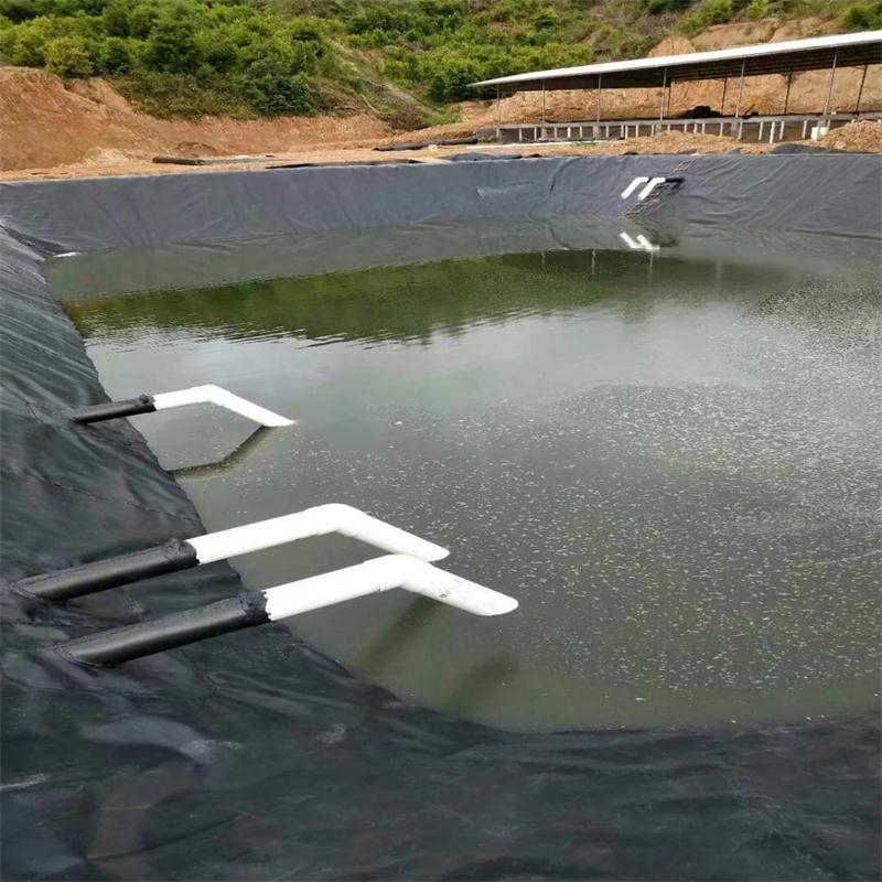 HDPE PE/EVA/Ecb/PVC Geomembrane Manufacturer for Agriculture/Reservoir