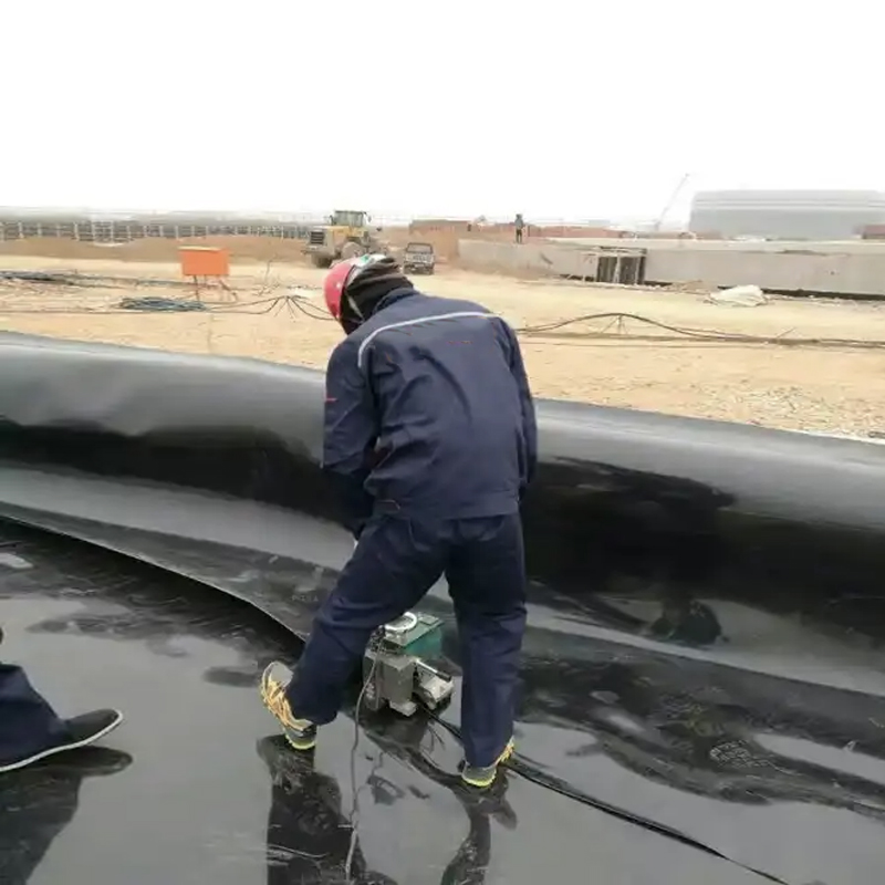 HDPE PE/EVA/Ecb/PVC Geomembrane Manufacturer for Agriculture/Reservoir