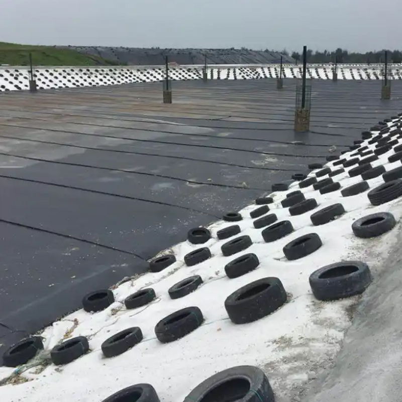 HDPE PE/EVA/Ecb/PVC Geomembrane Manufacturer for Agriculture/Reservoir