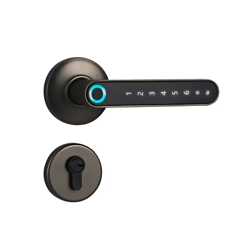door lock with password 290