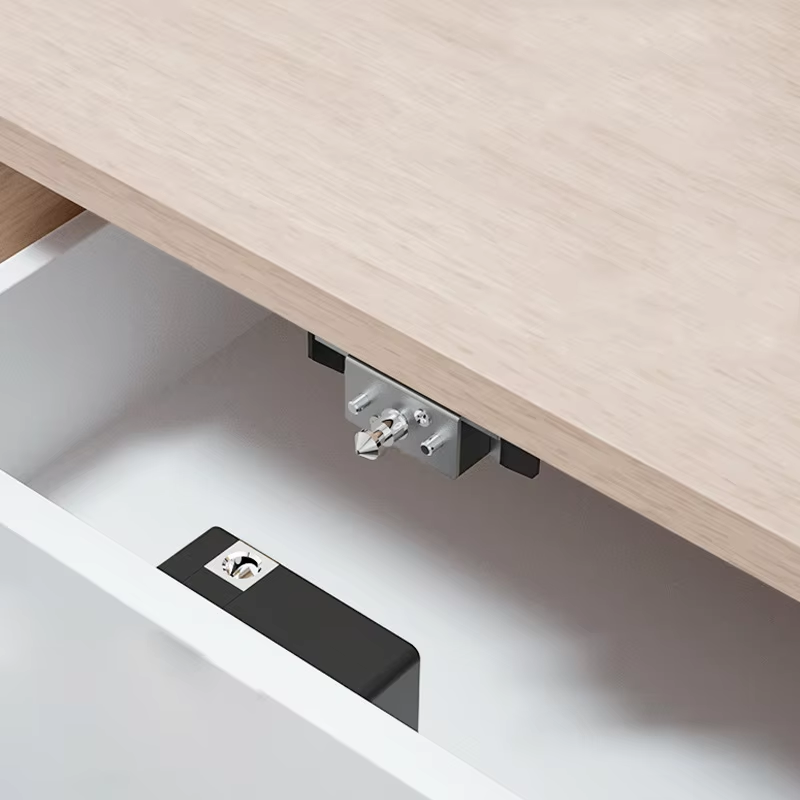 fingerprint cabinet lock ZC19W