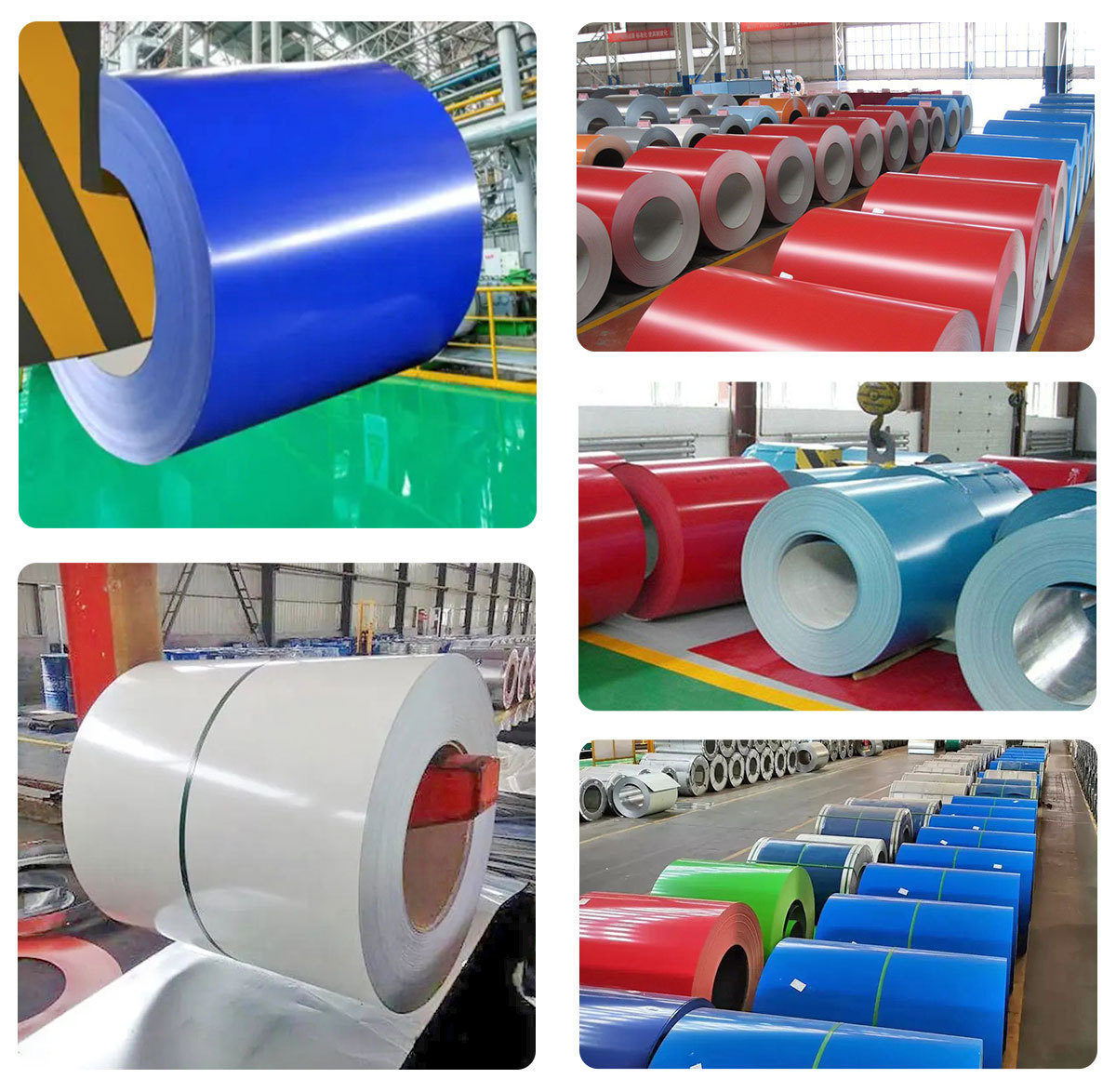 PPGI Steel Coil.jpg