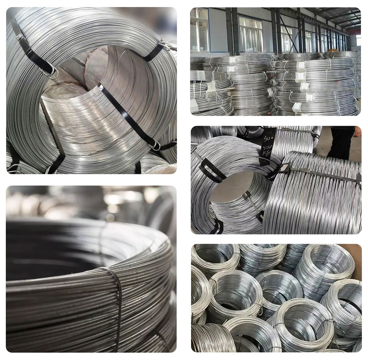 Steel Wire.jpg