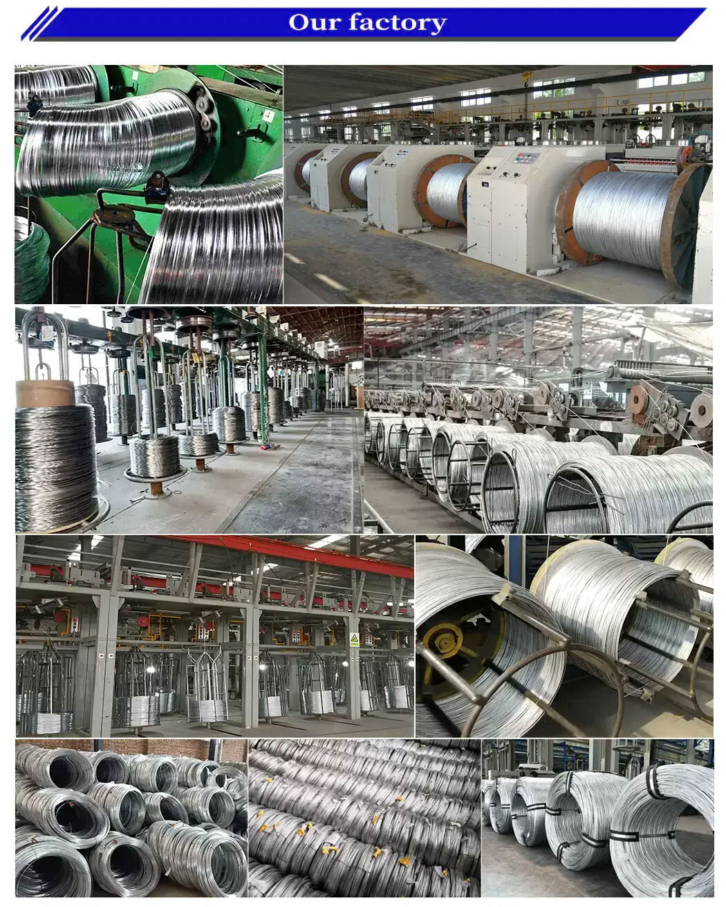 Galvanized Steel Wire.jpg