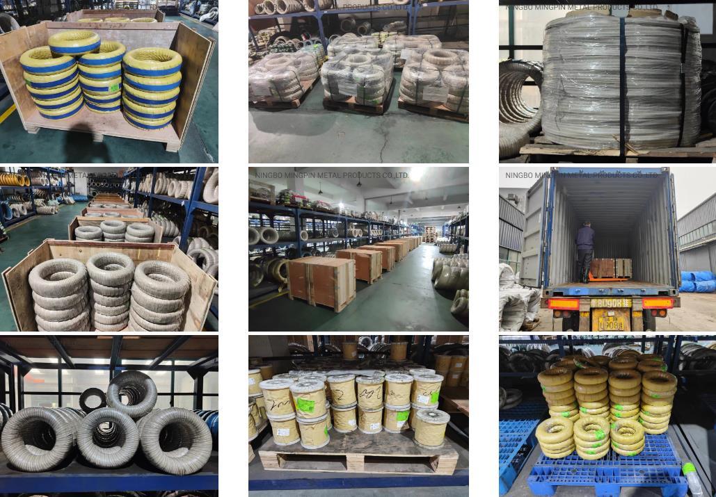 Stainless steel wire