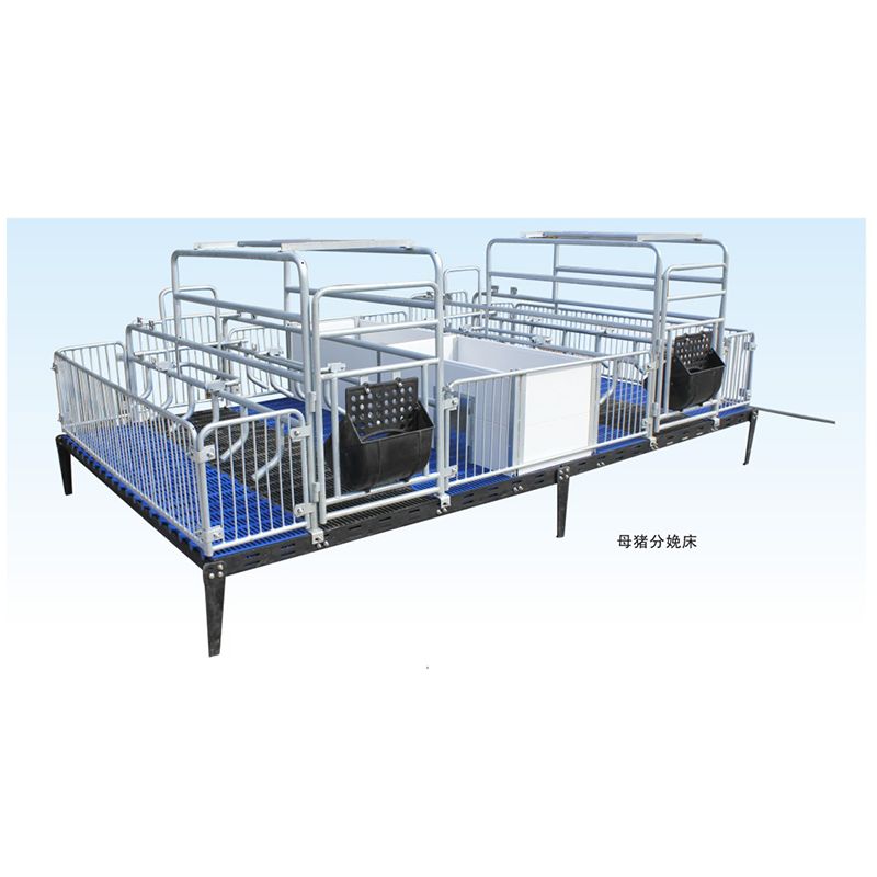 Коровник для опороса свиноматок