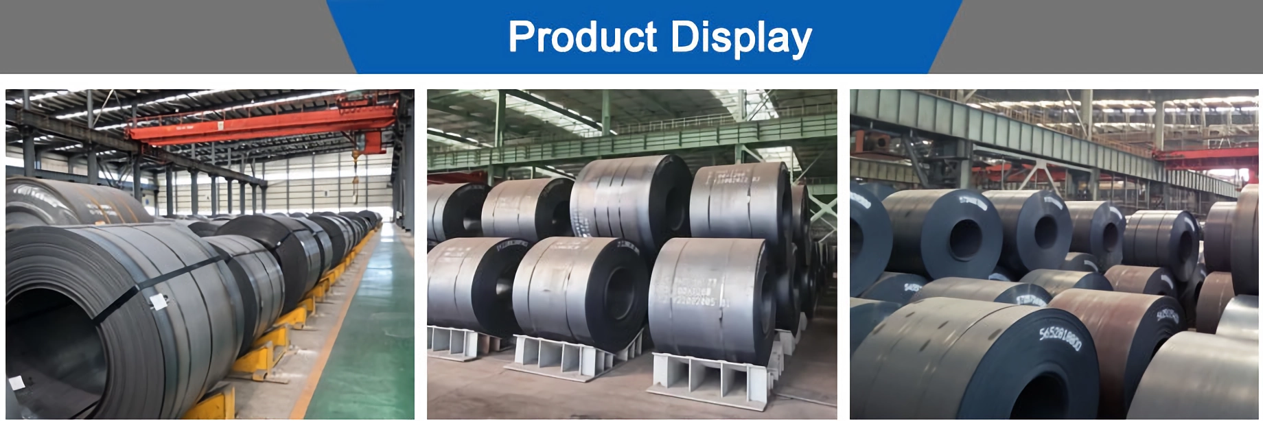 卷图片1.png 卷图片1.png