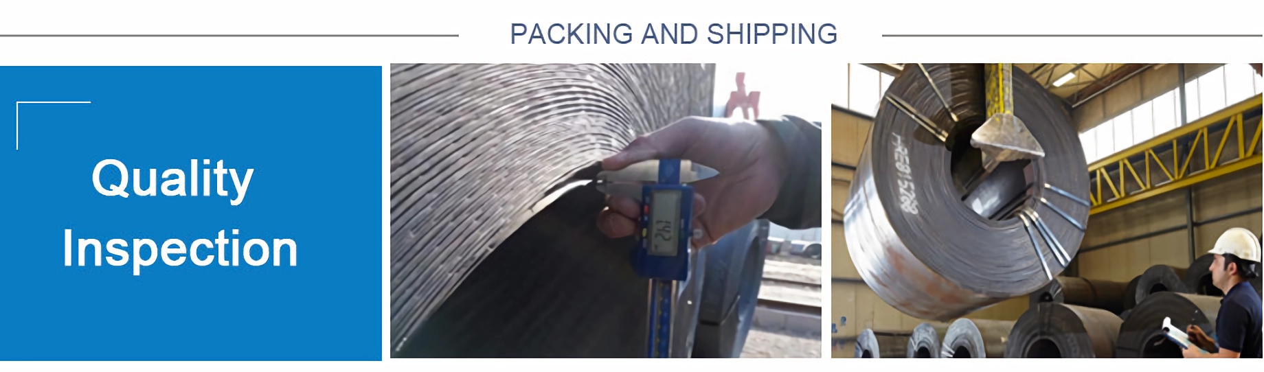 卷图片2.png 卷图片2.png