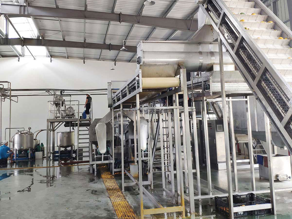 We Provide the Turn-key Solution of Juice and Pulp  Processing Line