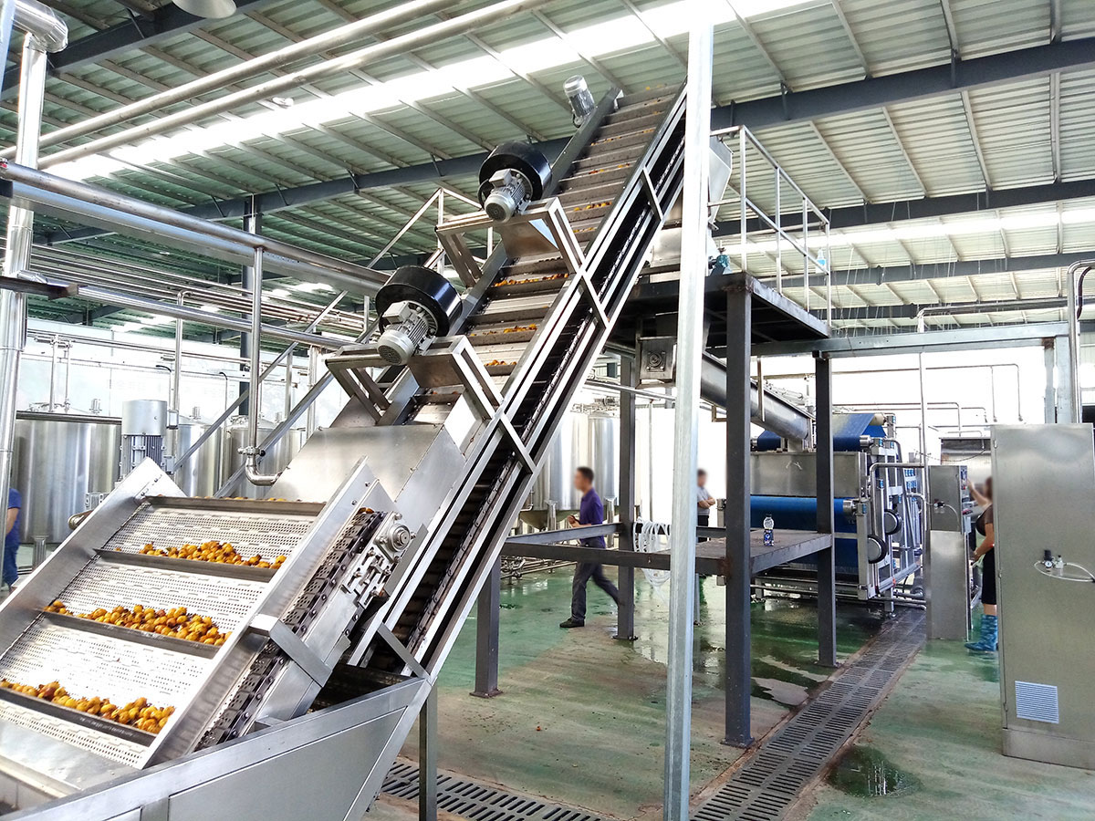 Guiyang Rosa Roxburghii Juice Processing Line