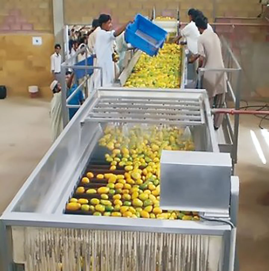 Good Qulity of Mango Juice & Pulp Processing line