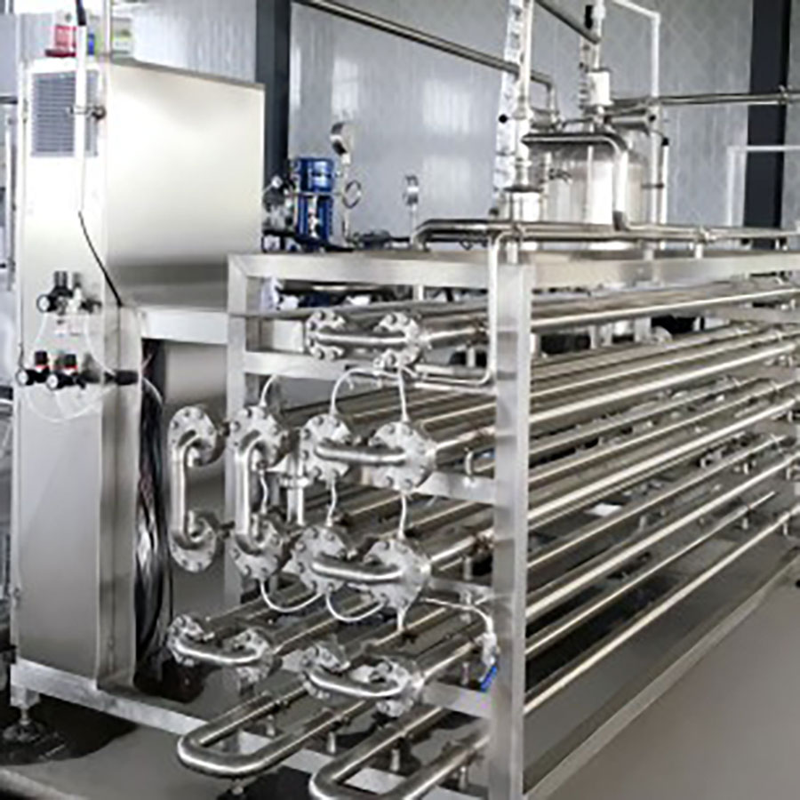 Yinzhou Brand Blueberry and Strawberry Pulp & Juice Processing Line