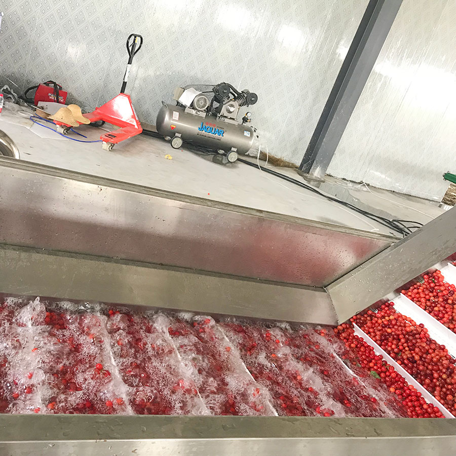 Yinzhou Brand Blueberry and Strawberry Pulp & Juice Processing Line