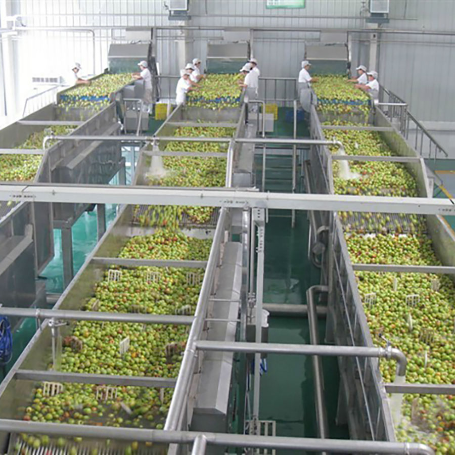 Yinzhou Produced Superior Apple and Pear Juice Processing Line