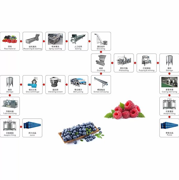 Yinzhou Brand Blueberry and Strawberry Pulp & Juice Processing Line