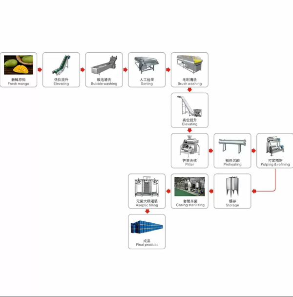 Good Qulity of Mango Juice & Pulp Processing line