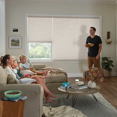 Cellular Shades: The Ideal Window Treatment Option with Diverse Functions