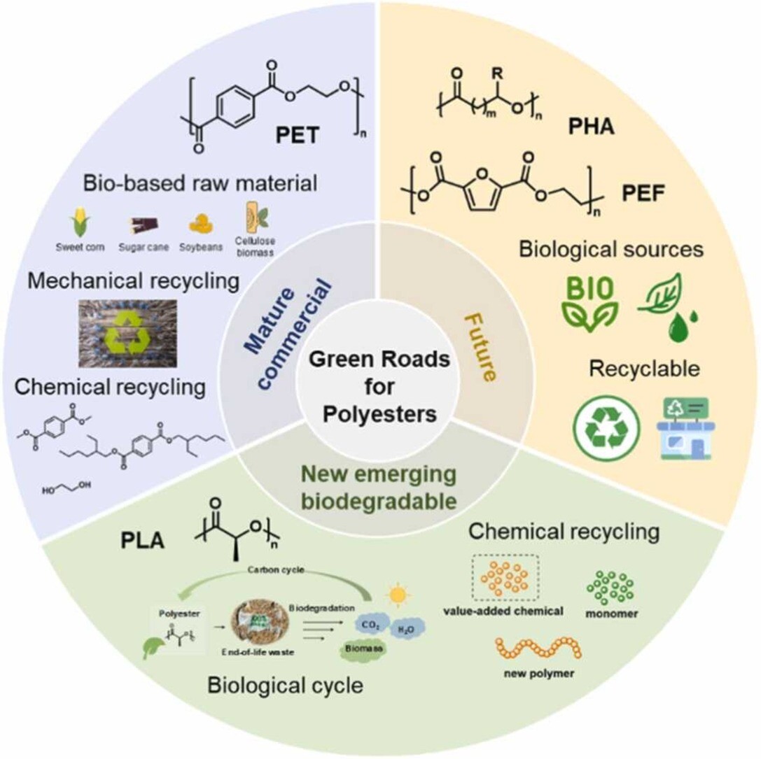 Recycled Polymer: Green Paths for Polyester Plastics in a Sustainable World